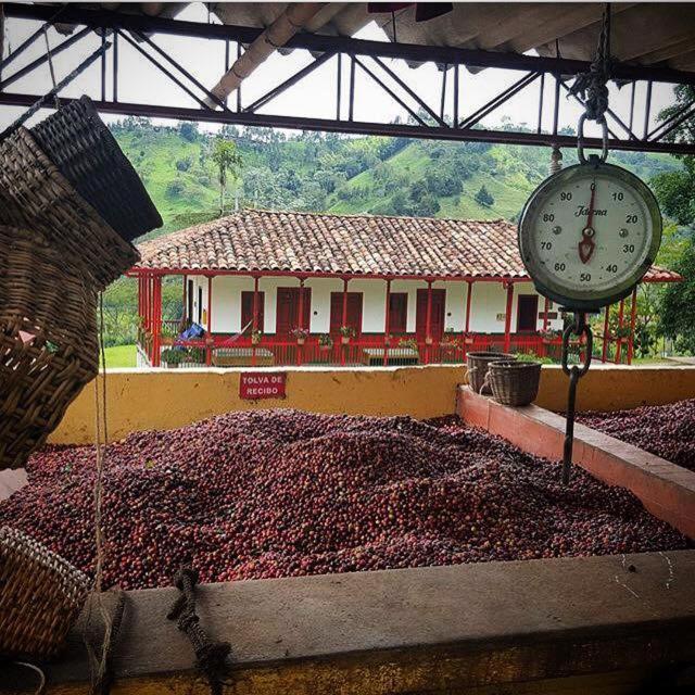 ホテルFinca El Ocaso サレント エクステリア 写真