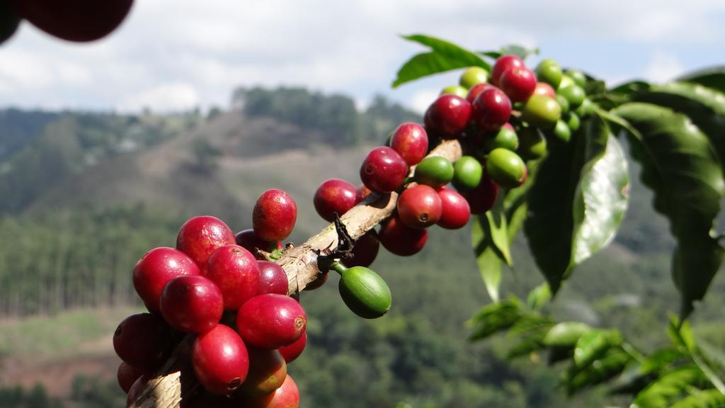ホテルFinca El Ocaso サレント エクステリア 写真